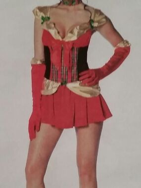 Deck My Halls women's holiday dress costume, small